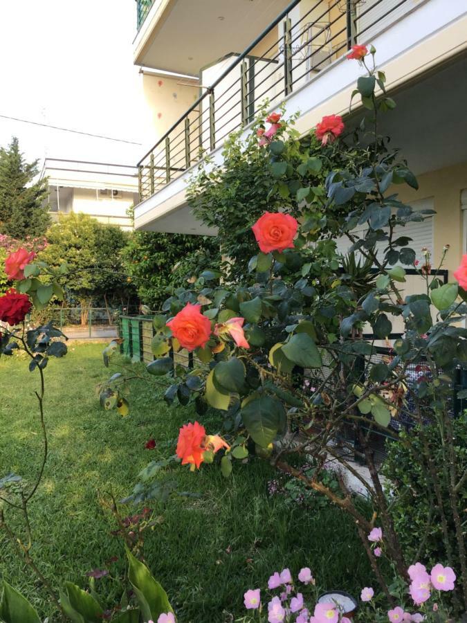 Ourania'S Apartments Kamena Vourla Dış mekan fotoğraf